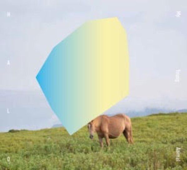 画像1: [CD] My Young Animal - Halo (1)