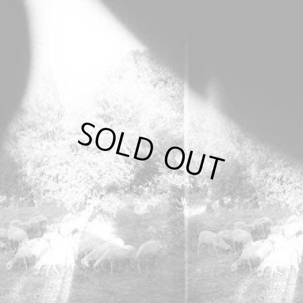 画像1: [LP]Godspeed You!Black Emperor! - Asunder, Sweet and Other Distress(+MP3) (1)