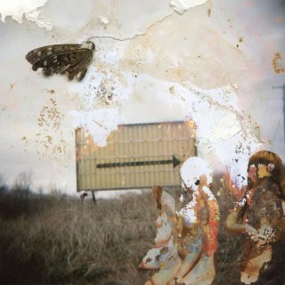 BRAID LPレコード FRAME & CANVAS LP]Braid - Frame and Canvas