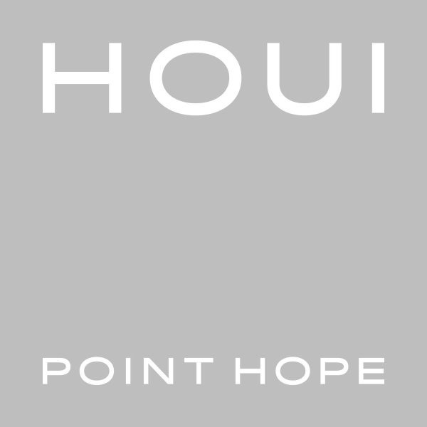 画像1: [BOOK]POINT HOPE - HOUI(+ダウンロードコード) (1)