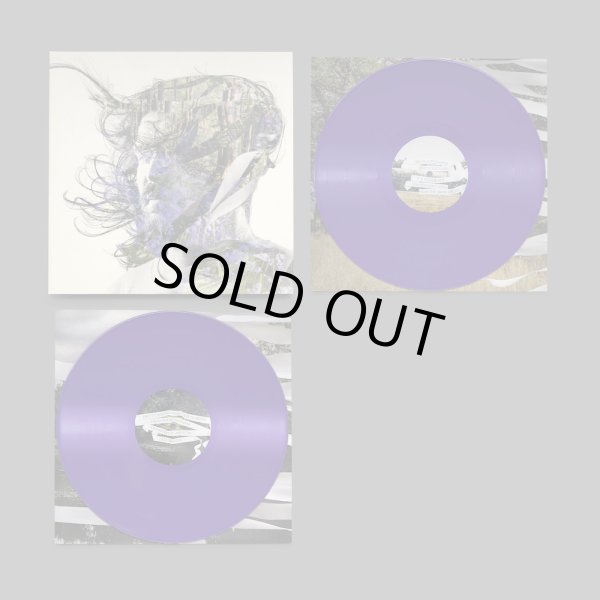 画像2: [CD]bibio - Ribbons (2)