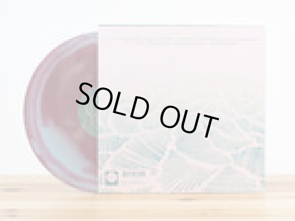 画像2: [CD]Squirrel Flower – I Was Born Swimming (2)