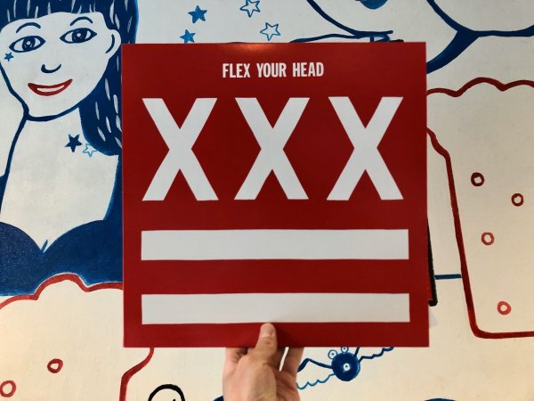 画像1: [LP]V.A / Flex your head(+DL code) (1)