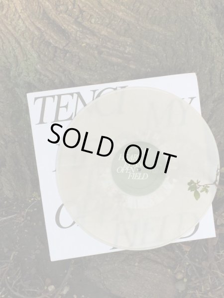 画像2: [LP]Tenci ‎– My Heart Is An Open Field (2)