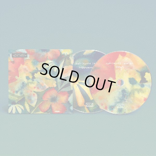 画像2: [2CD]Adrianne Lenker - songs and instrumentals (2)