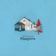 画像1: [CD]Pinegrove - Amperland, NY (1)
