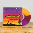 画像2: [LP]Anamanaguchi  - Dawn Metropolis (2)