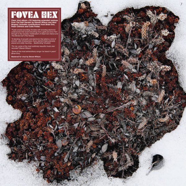 画像1: [12”+CD] Fovea Hex – The Salt Garden (Landscaped) (1)