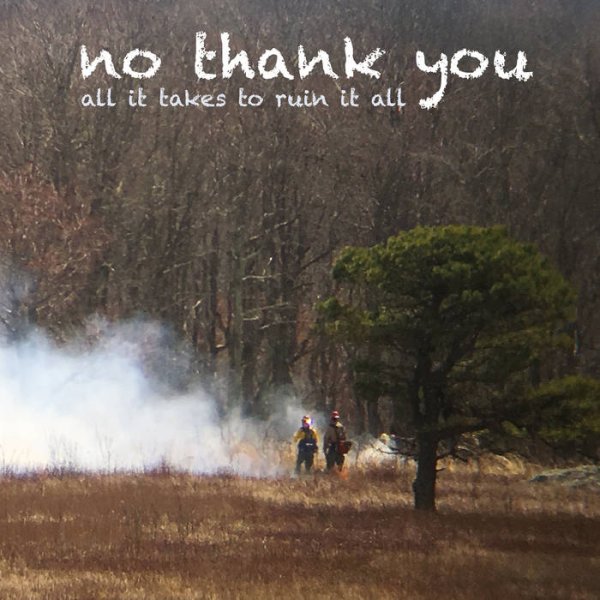 画像1: [LP]No Thank You - All It Takes To Ruin It All (1)