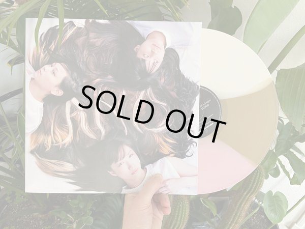 画像2: [LP]tricot - AND"Neapolitan Tri-stripe" (2)