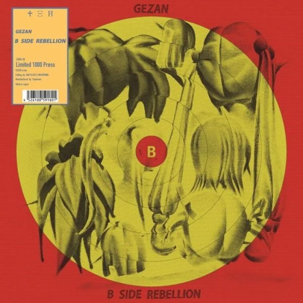 画像1: [LP]GEZAN -  B-SIDE REBELLION (1)