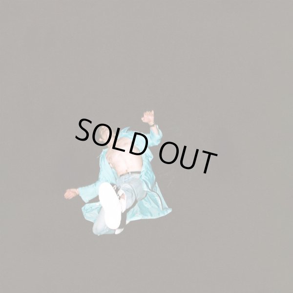 画像1: [LP]Del Water Gap - st (1)