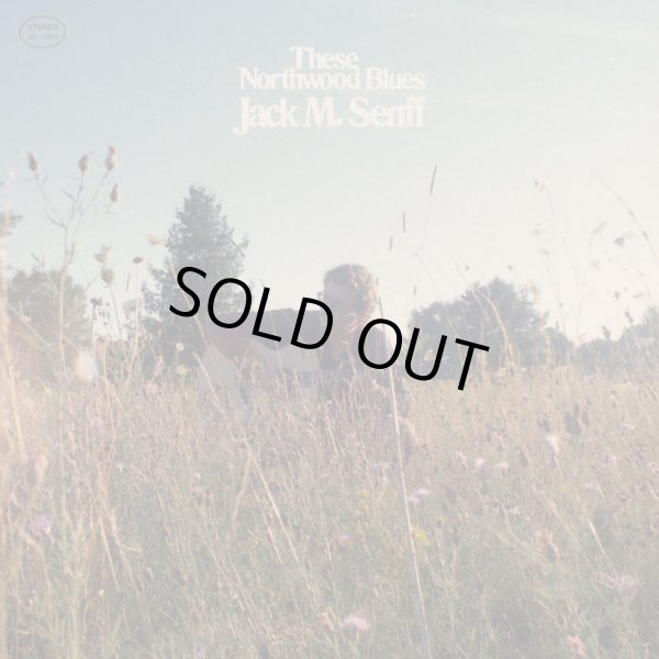 画像1: [12"]Jack M. Senff – These Northwood Blues (1)