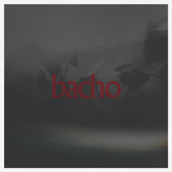 画像1: [CD]bacho - 陽炎 (1)