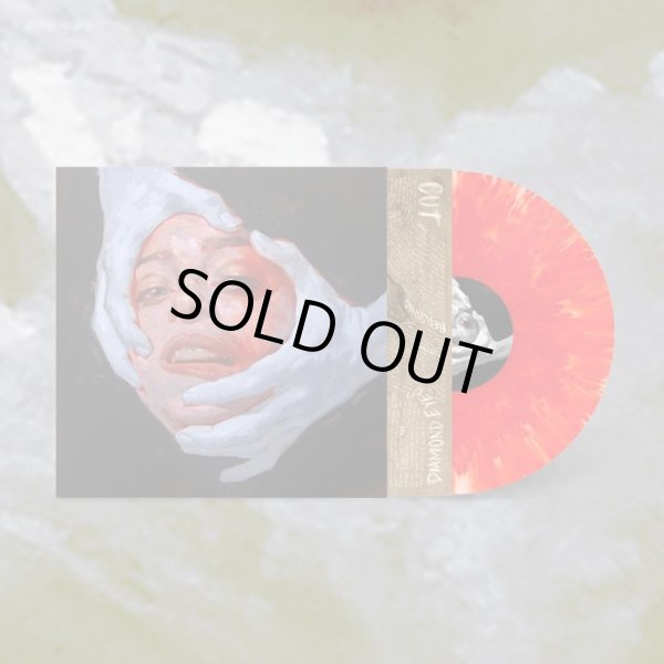 画像2: [LP]Sweet Pill – Where The Heart Is (2)