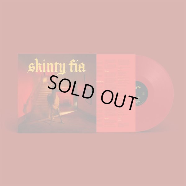 画像2: [LP]Fontaines D.C. – Skinty Fia (2)