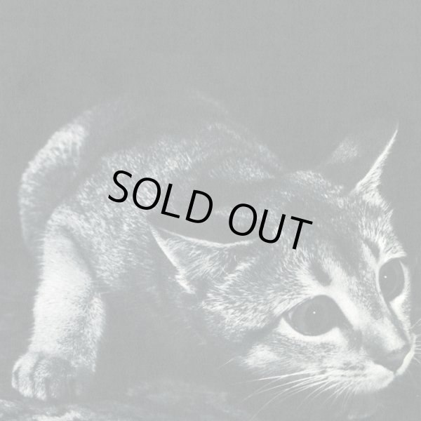 画像1: [LP]Cindy - st (1)