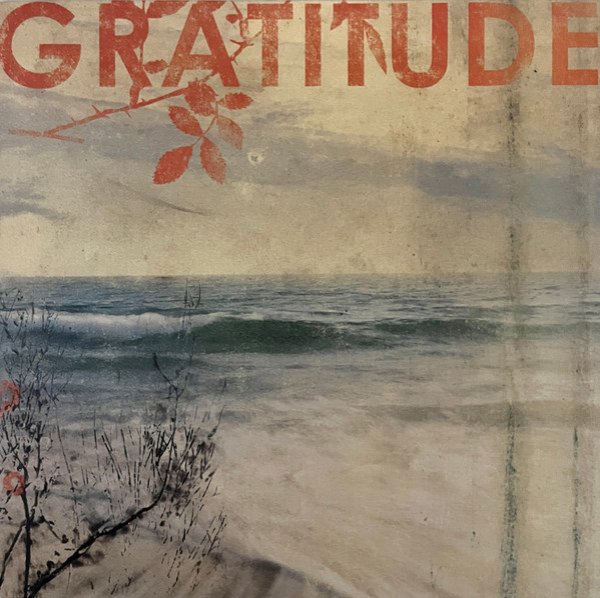 画像1: [LP]Gratitude - st (1)