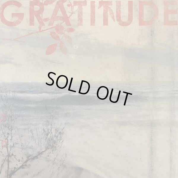 画像1: [LP]Gratitude - st (1)