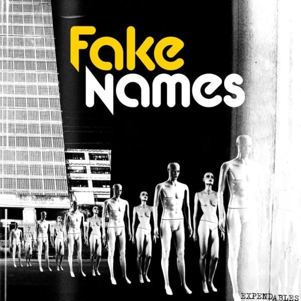 画像1: [LP]Fake Names ‎– Expendables (1)