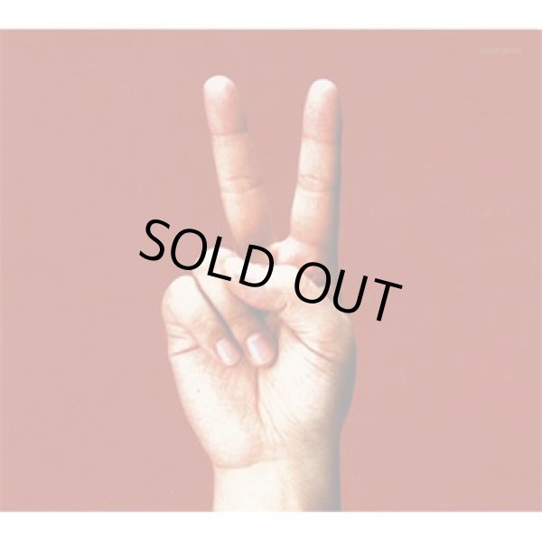 画像1: [2LP]bloodthirsty butchers - birdy (1)