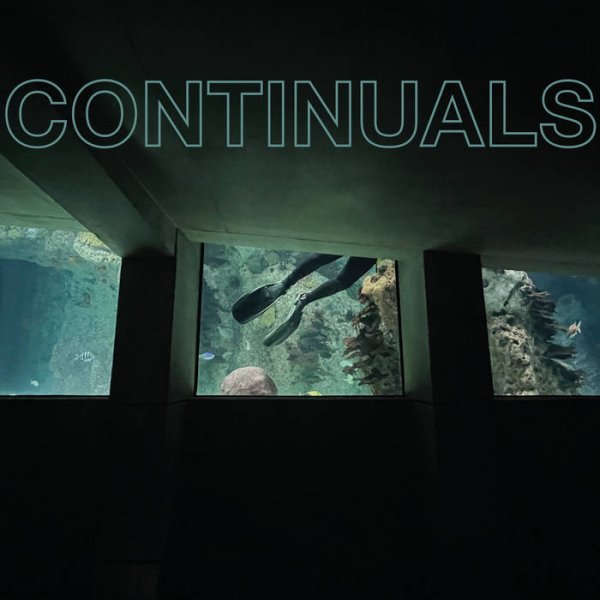 画像1: [LP]Continuals - st (1)