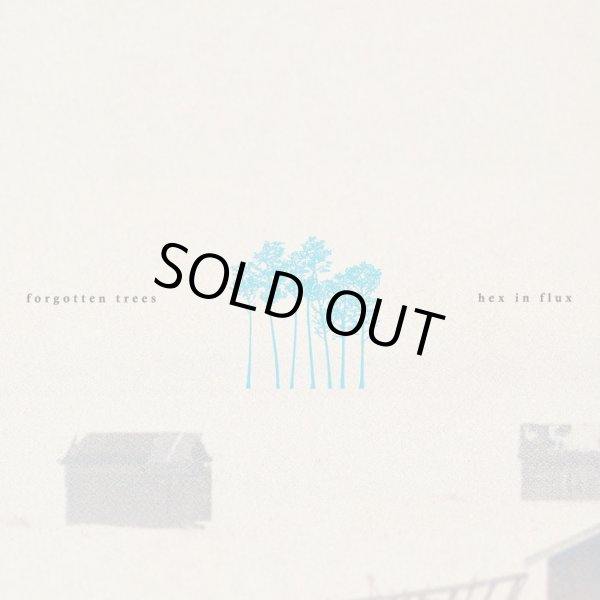 画像1: [CD]Hex in Flux - forgotten trees (1)