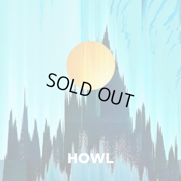 画像1: [LP]ROTH BART BARON - HOWL (1)