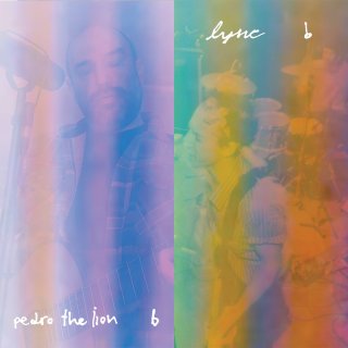 Lync ‎– These Are Not Fall Colors オリジナル盤 VERY RARE 1994 / LYNC THESE ARE NOT FALL COLORS | eBay