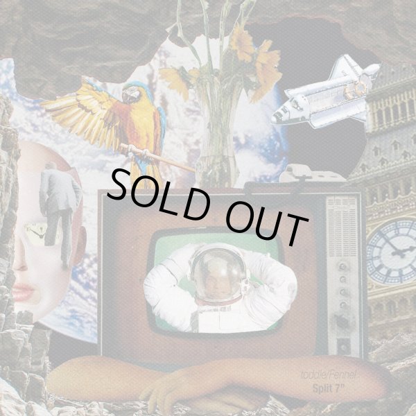 画像1: [7inch]Fennel / toddle - split7" (1)