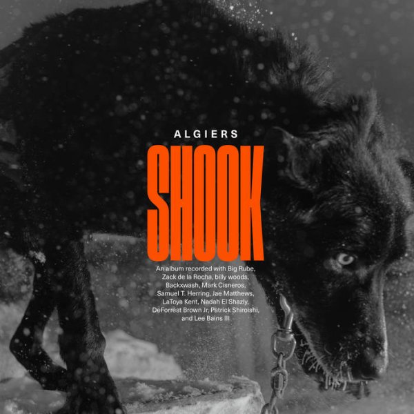 画像1: [CD]Algiers - Shook (1)