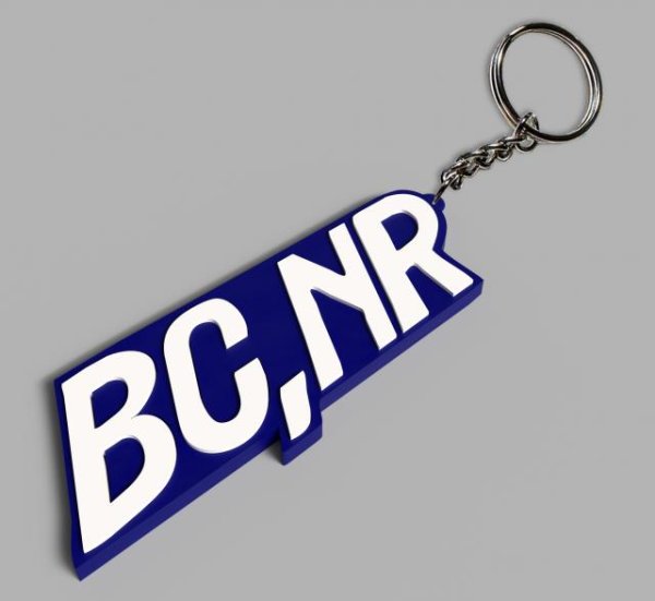 画像2: [TAPE]Black Country, New Road ‎– Forever Howlong (2)