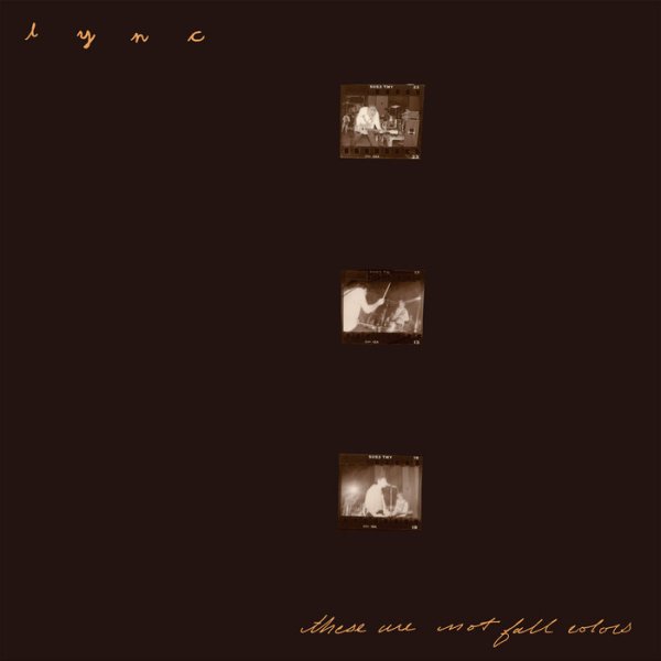 画像1: [2LP]Lync – These Are Not Fall Colors (1)