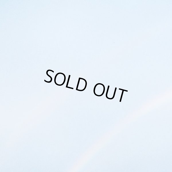 画像1: [LP]Turnstile – Never Enough (1)