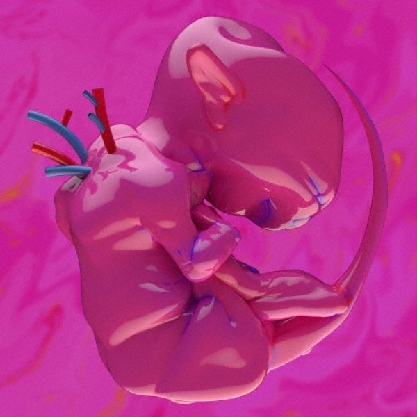 画像1: [CD]春ねむり - ekkolaptómenos (1)