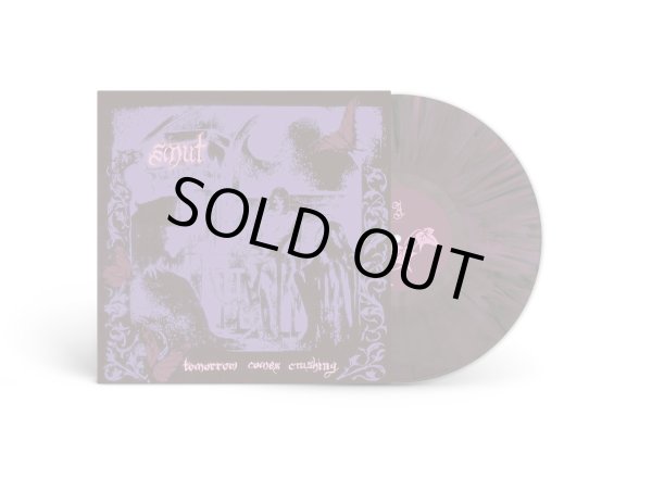 画像2: [LP]smut - Tomorrow Comes Crashing (2)