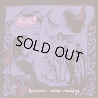 希少 blur fool’s day 7”レコード 2010年RSD限定ボックス 希少 blur fool's day 7”レコード 2010年RSD限定ボックス 希少