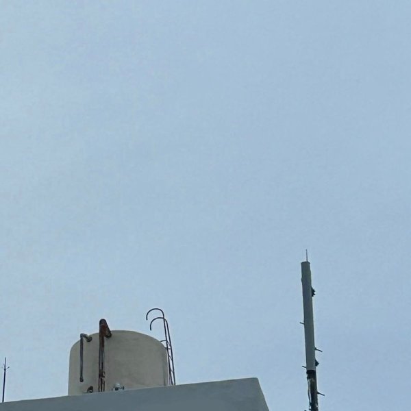 画像1: [CD]TIDAL CLUB - pluralpainpacks (1)