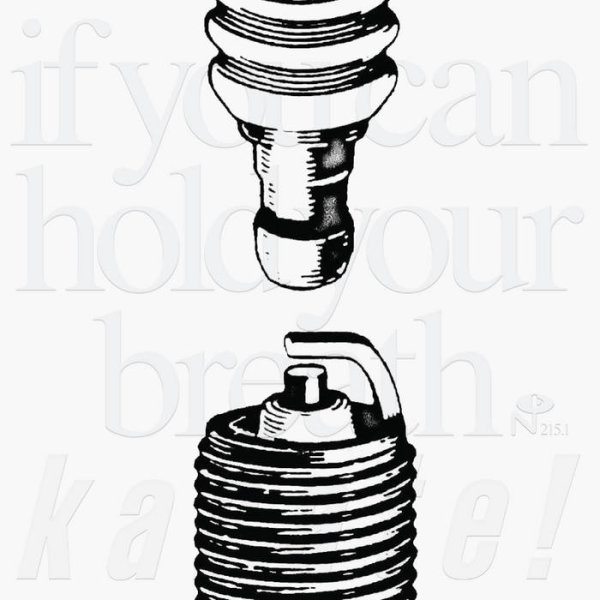 画像1: [5LP/Box Set]Karate ‎–  If You Can Hold Your Breath (1)