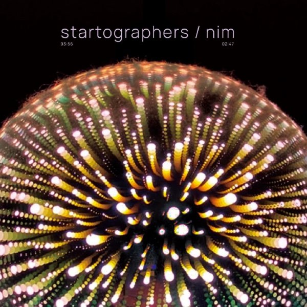 画像1: [7inch]Startographers / nim - split (1)