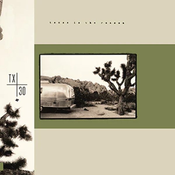 画像1: [12"]Texas Is The Reason ‎– st"30th Special Edition" (1)