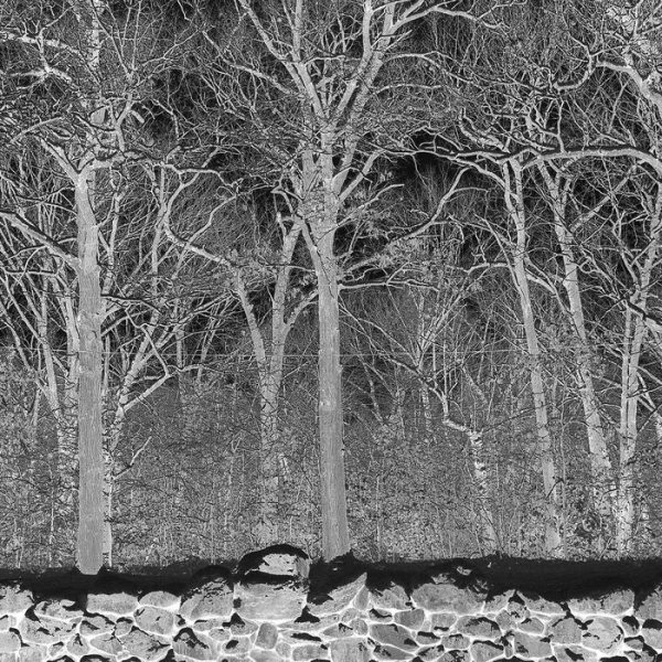 画像1: [LP]Pile ‎– Sunshine and Balance Beams (1)